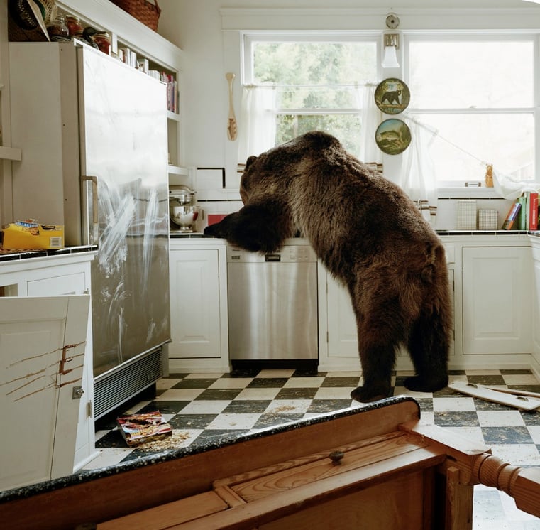 Happy_Finish_Campaign_Photo_Awards_John_Offenbach_Travelers_Rainer_Usselmann-917x900.jpg Happy_Finish_Campaign_Photo_Awards_John_Offenbach_Travelers_Rainer_Usselmann-917x900.jpg