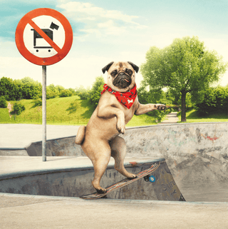 Guru Pet Food - retouching breakdown Guru Pet Food - retouching breakdown