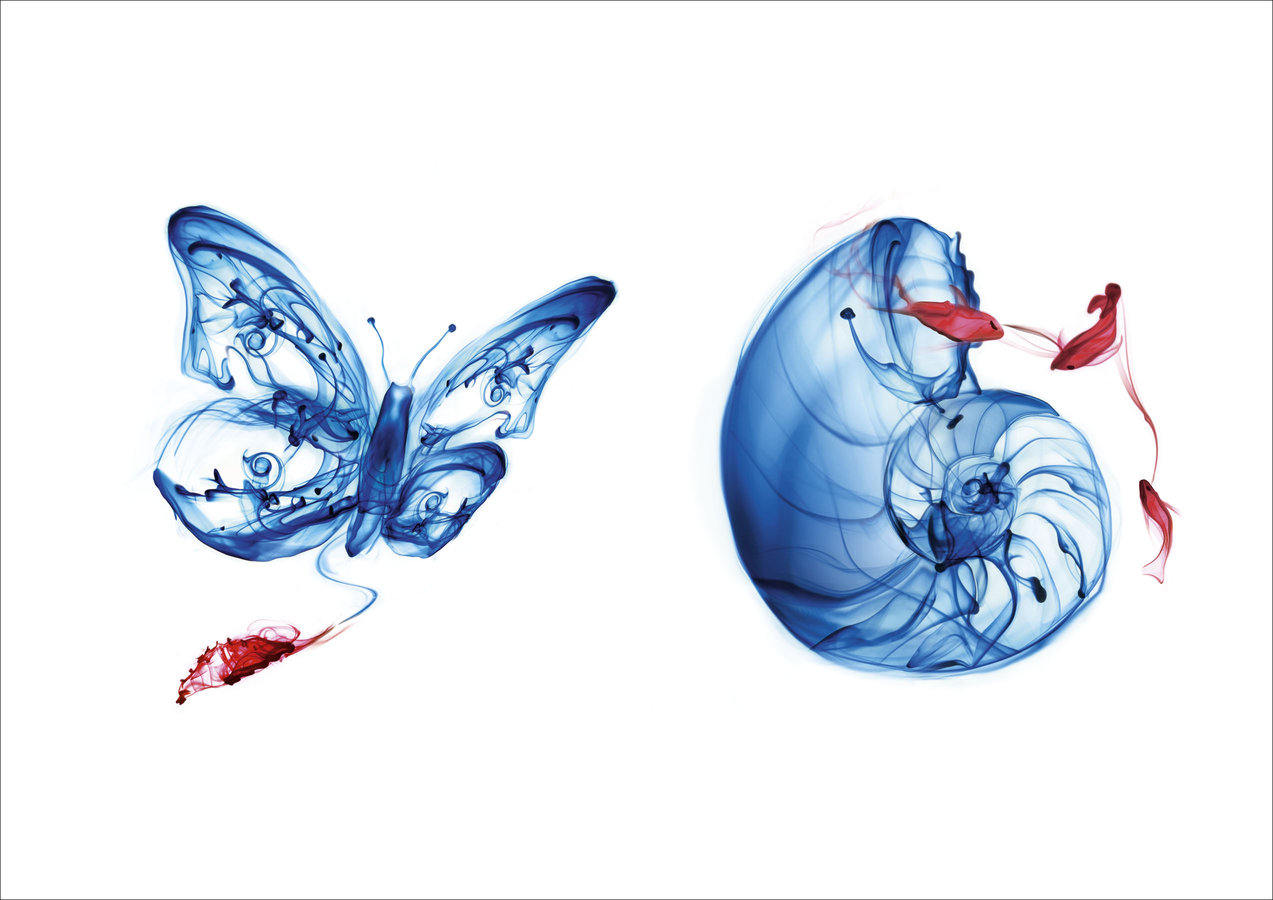 Pradaxa Happy Finish Retouch Tim Ashton