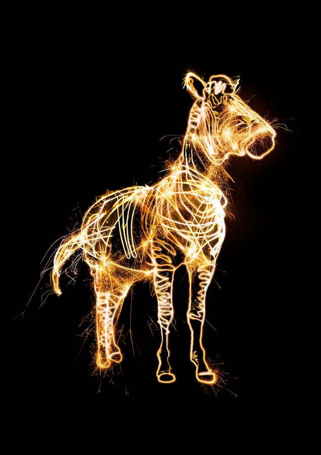 Investec Happy Finish Retouch Tim Ashton