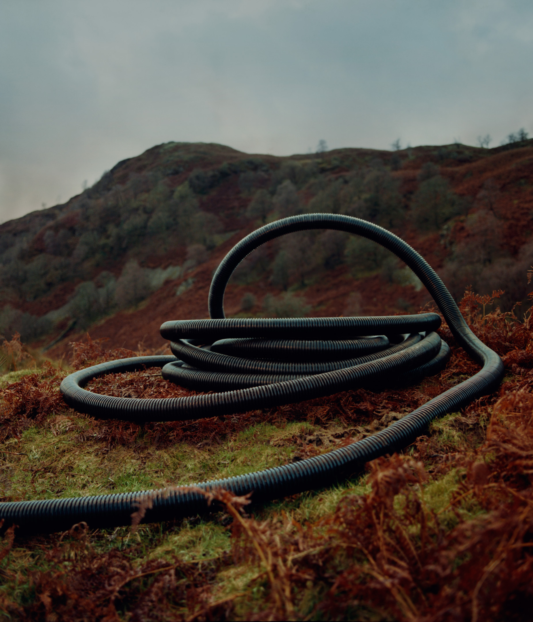 Dansk Happy Finish Retouch Jackie Williams