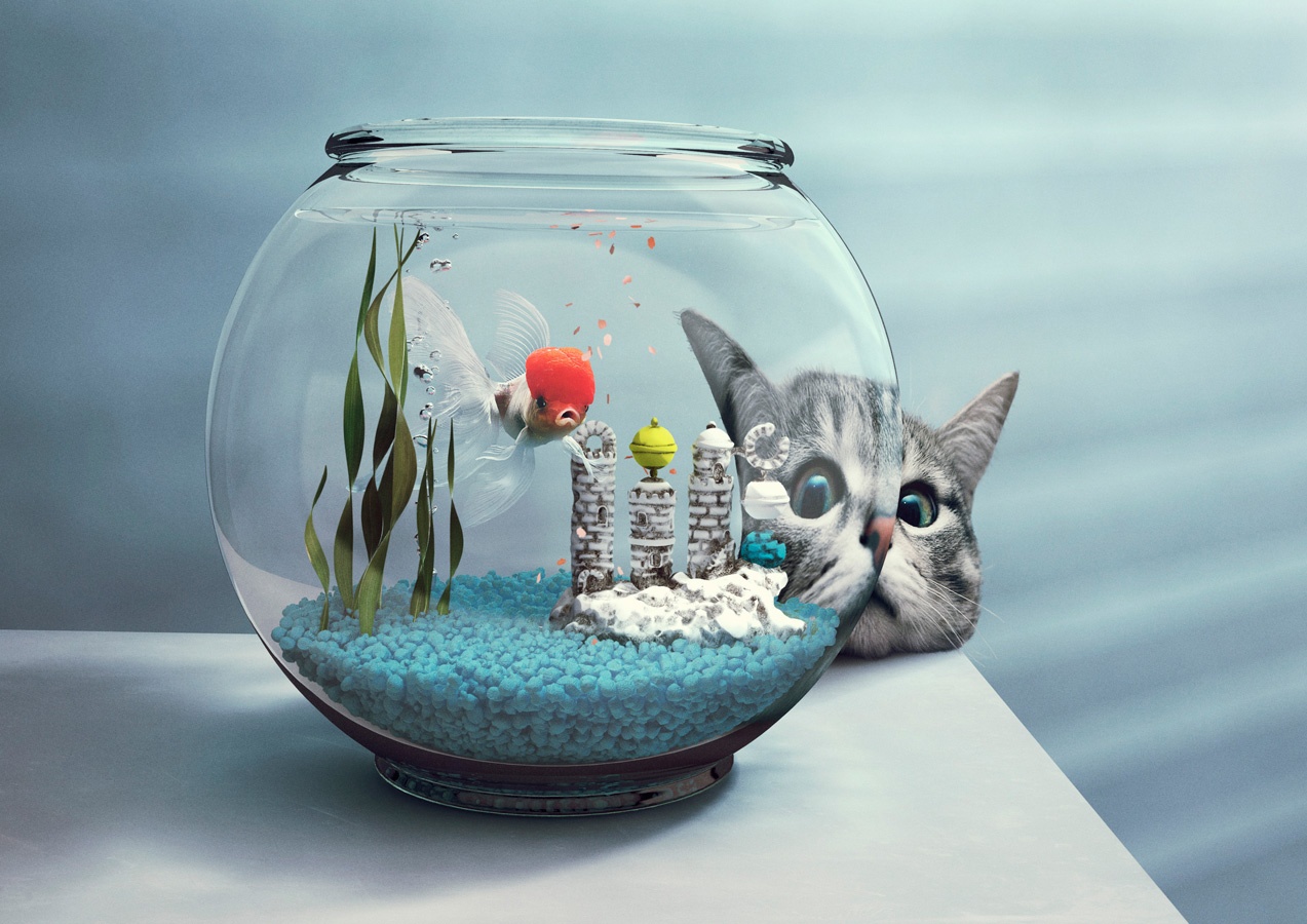 Happy Finish Retouch Kieran Clancy