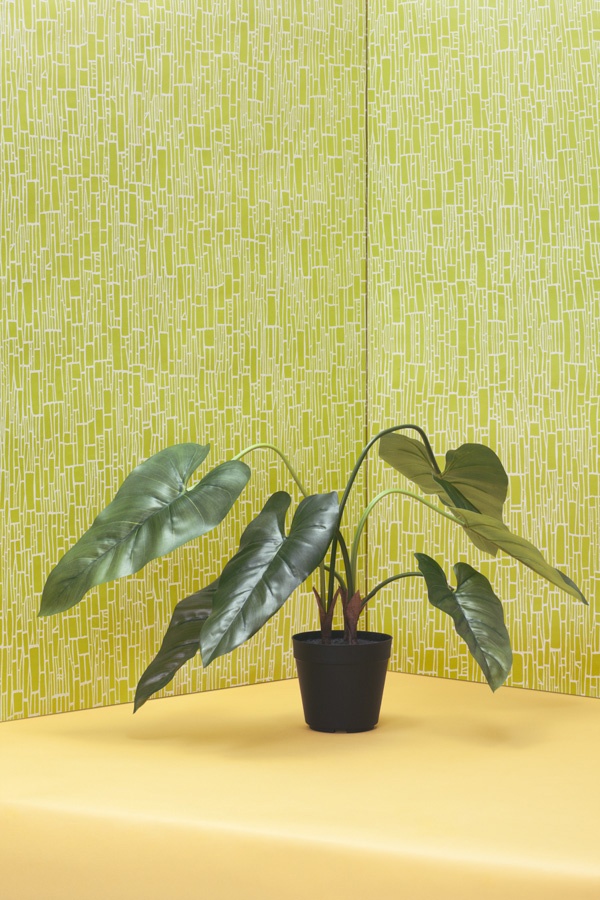 Happy Finish Retouch Kieran Clancy