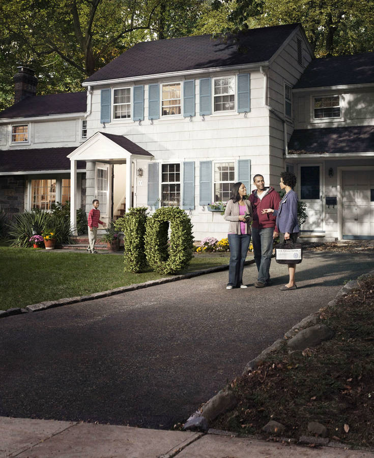 House Hedge Happy Finish CGI Matt Painter