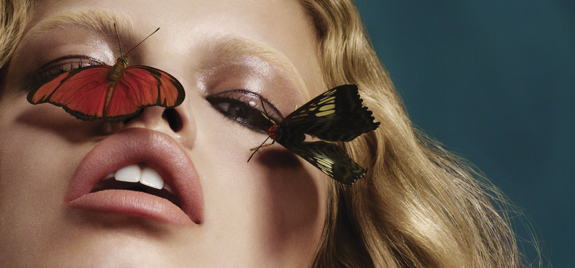 Plein Sud Happy Finish Retouch Nick Nedeljkovic