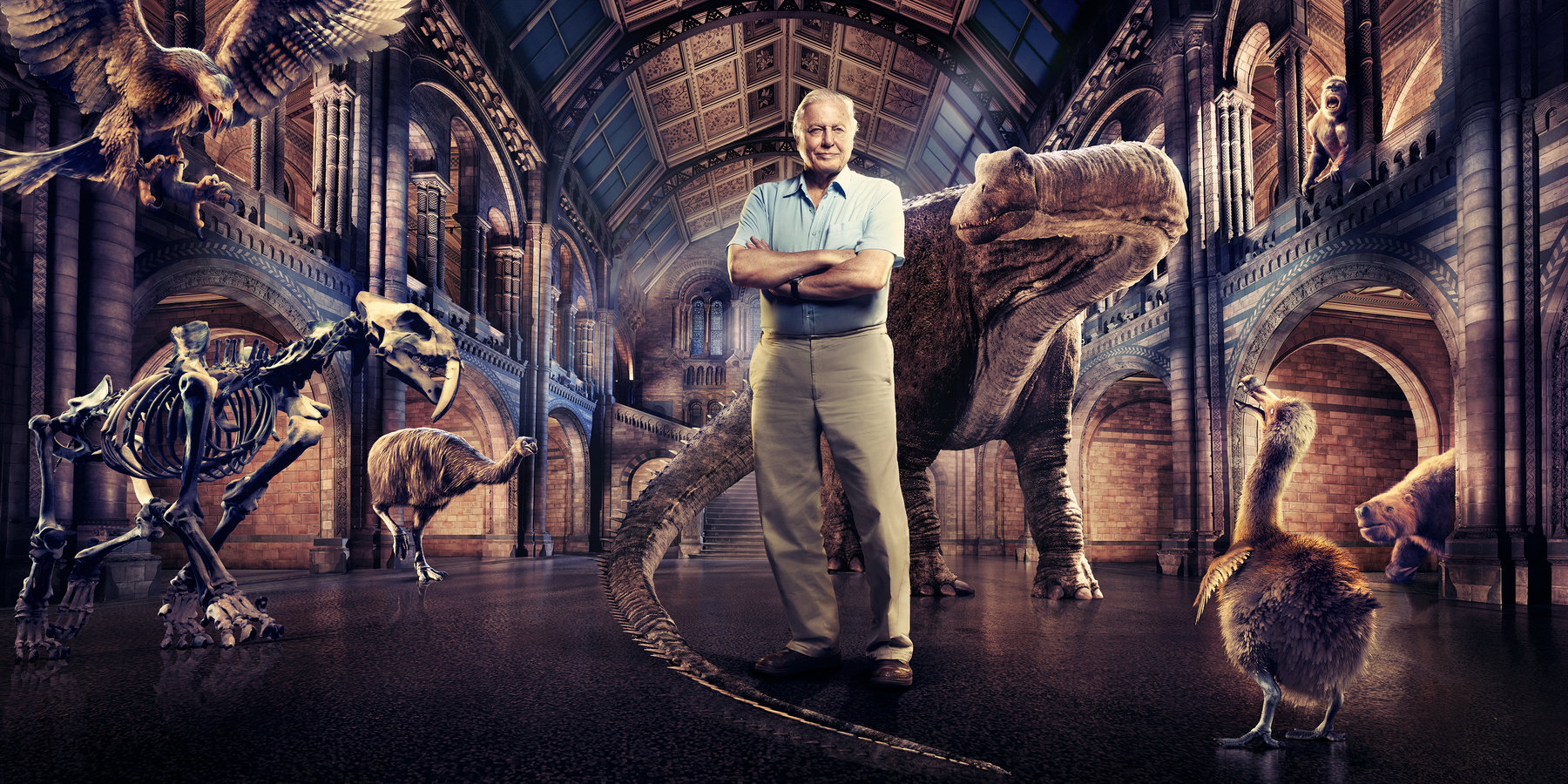 Sky TV Happy Finish Retouch Nick Nedeljkovic