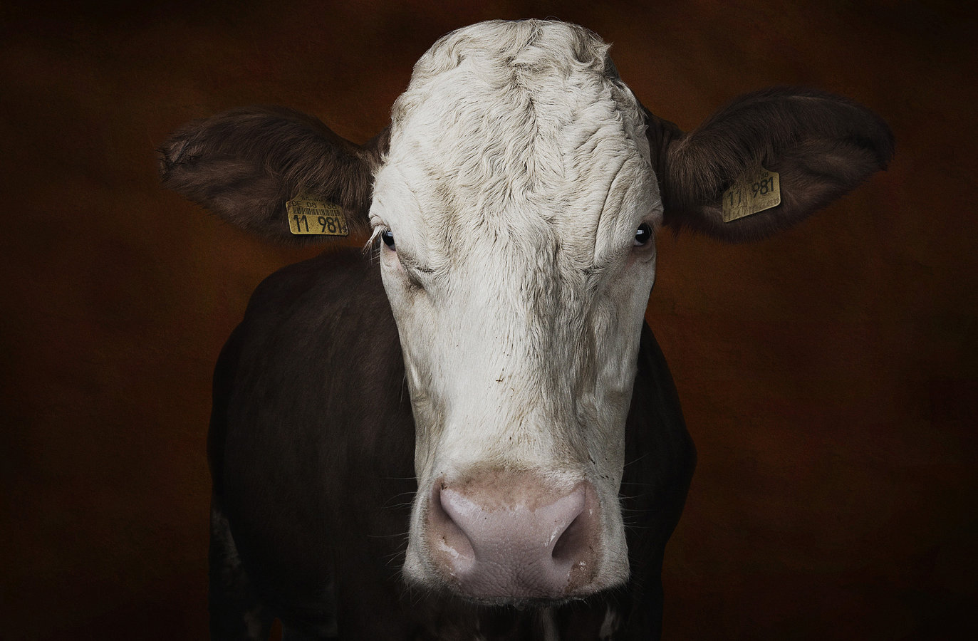 Happy Finish Retouch Rainer Usselmann